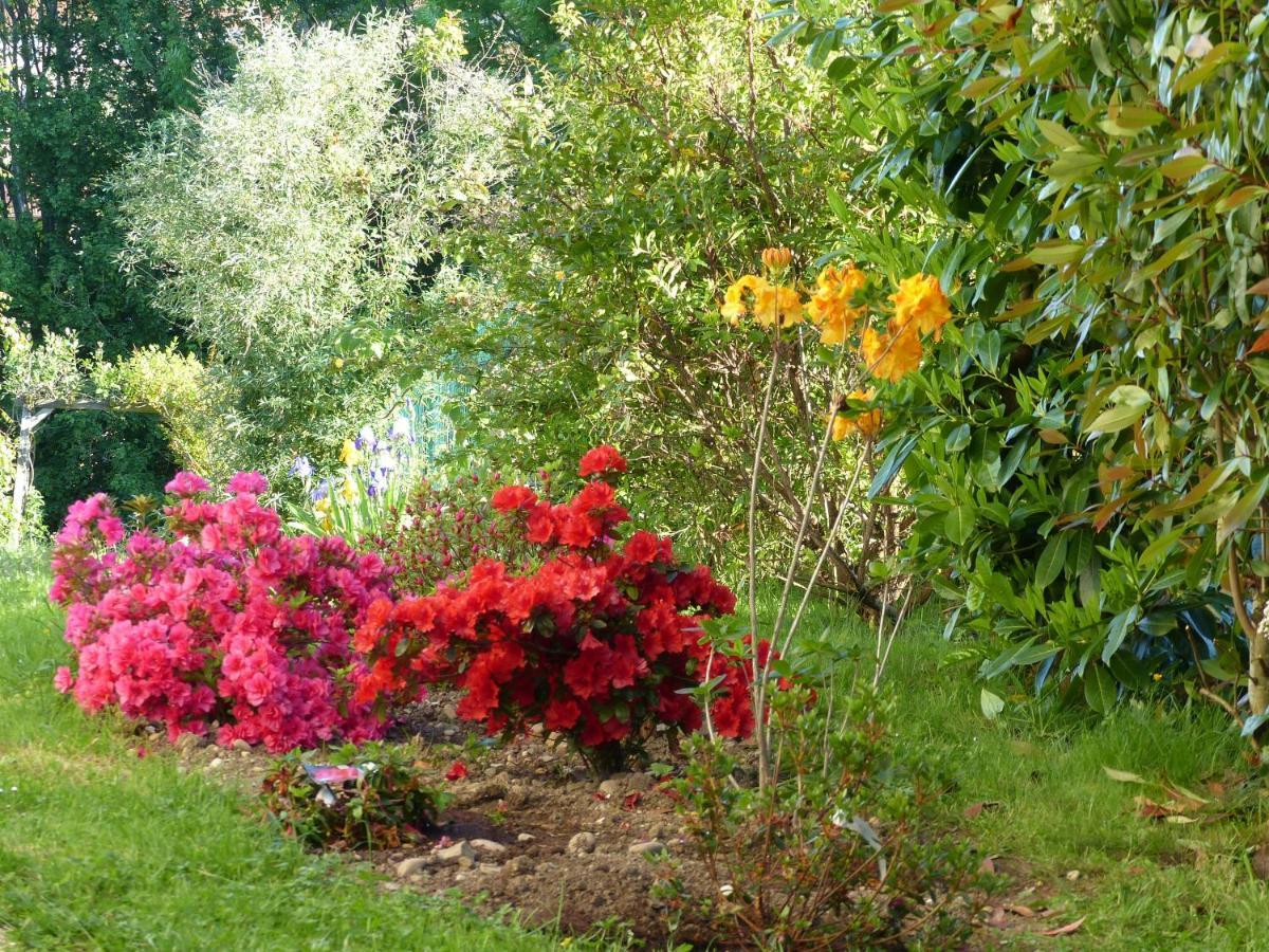 Bed and Breakfast Les Enselmes Montagnieu  Esterno foto